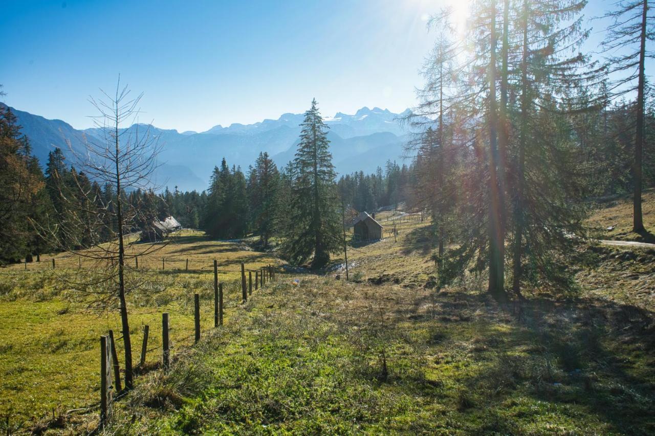 Ferienwohnung Stoablick - Barrierefrei Mit Bergblick Bad Goisern Extérieur photo